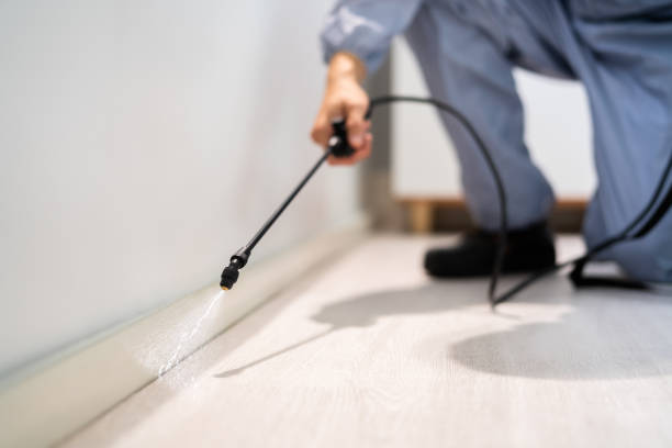 Licensed Pest Control service in Menands, NY - Show Me Pest Control